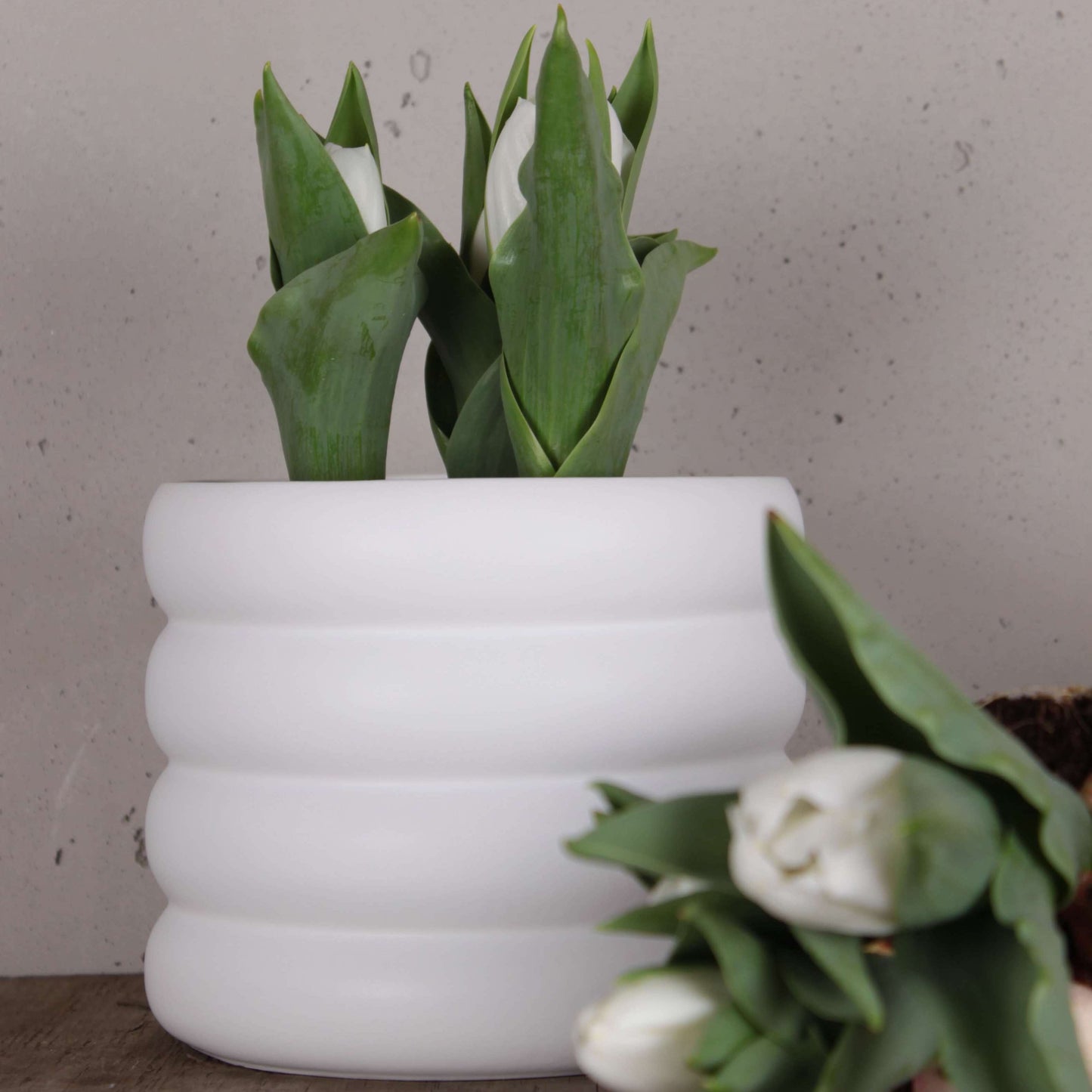 DBKD Blumentopf Mud weiß medium small monochrome-home