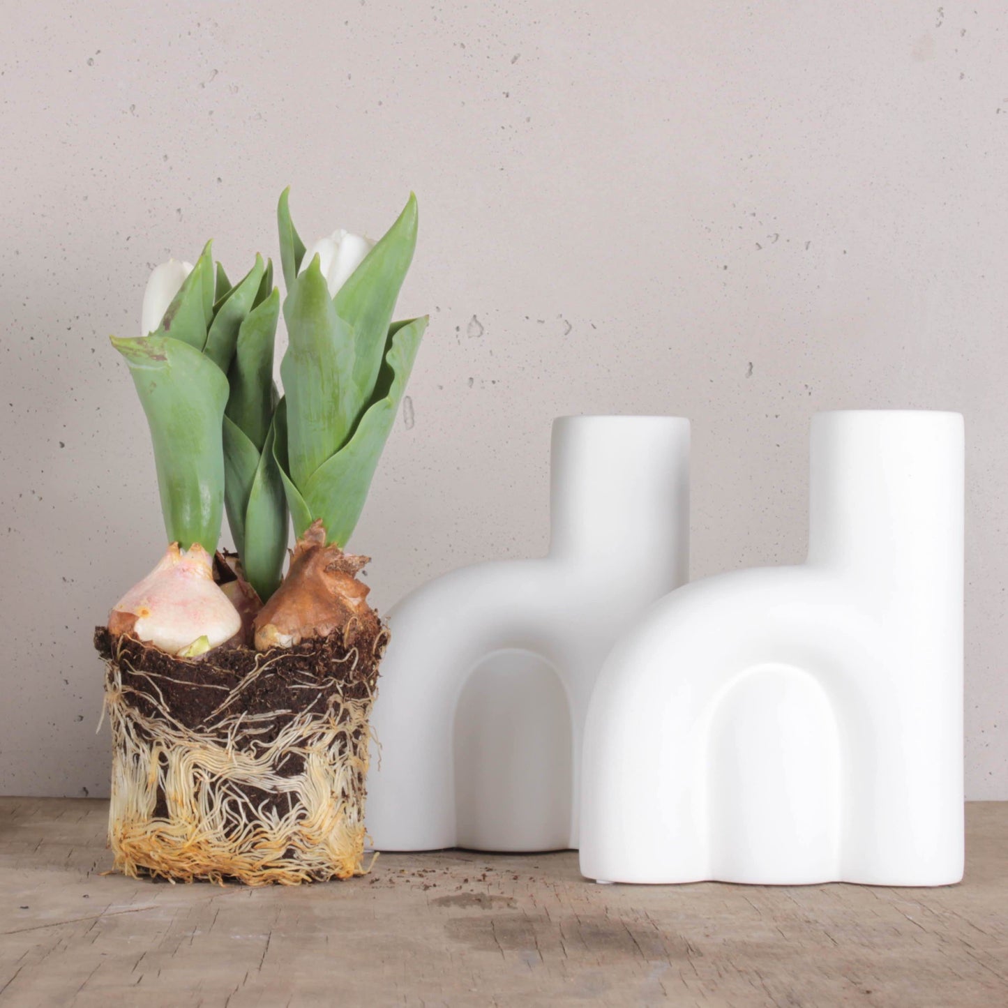 DBKD Vase Rote small, monochrome-home Buxtehude