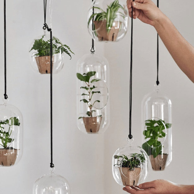 DBKD Hanging Glass Blumenampel Glas, monochrome-home Buxtehude