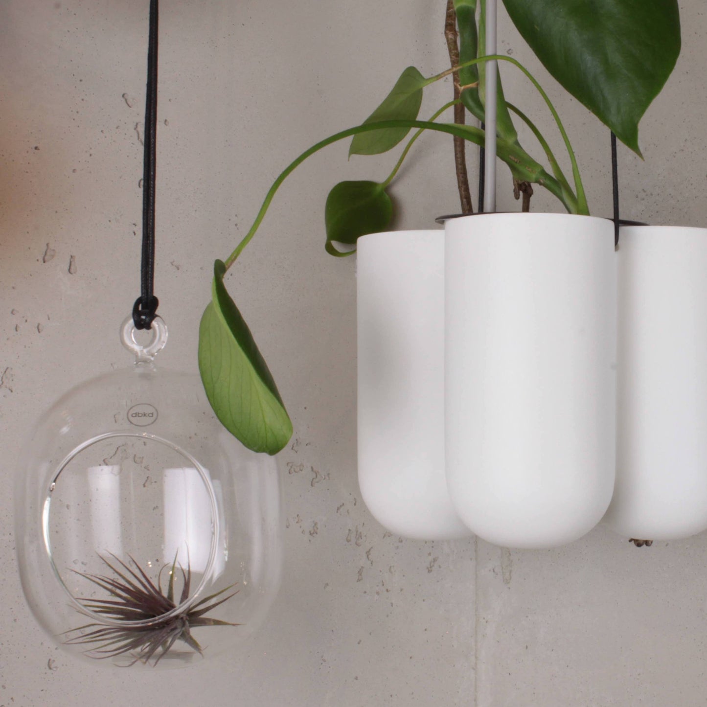 DBKD Hanging Glass Blumenampel Glas, monochrome-home Buxtehude