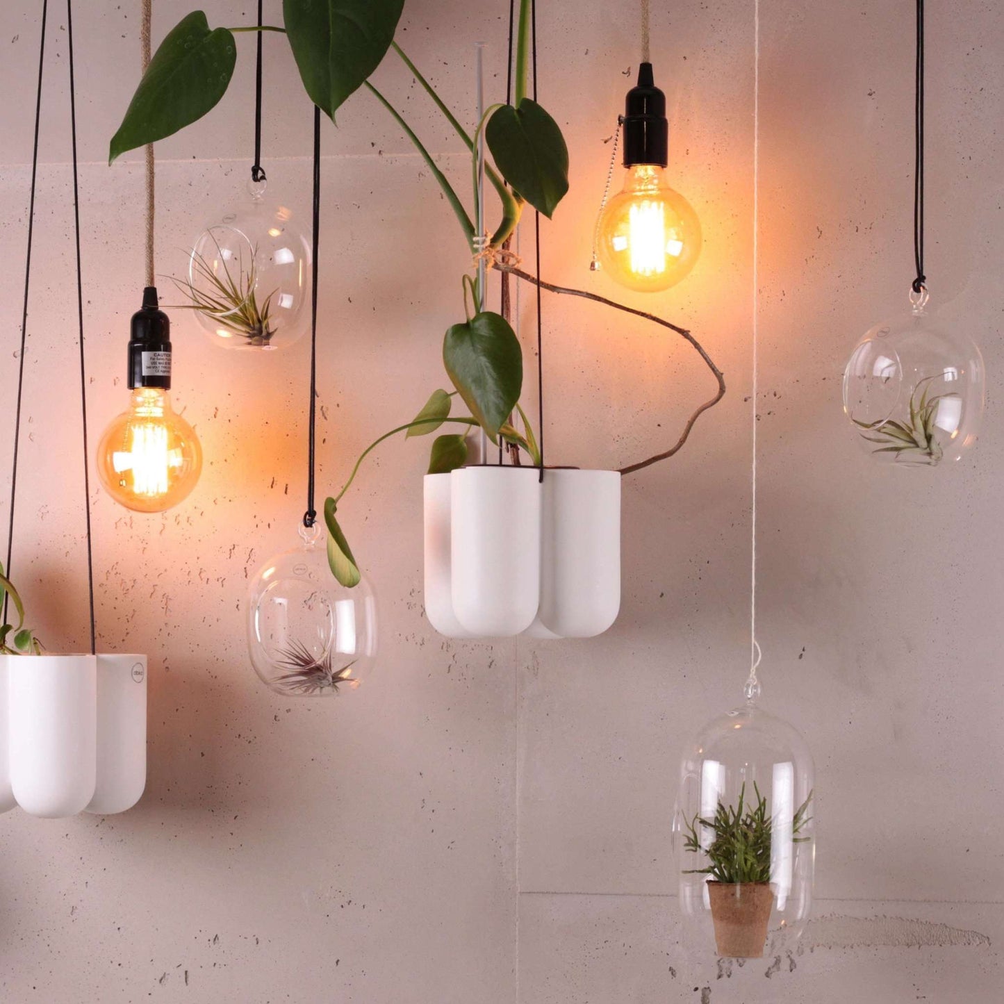 DBKD Hanging Glass Blumenampel Glas, monochrome-home Buxtehude