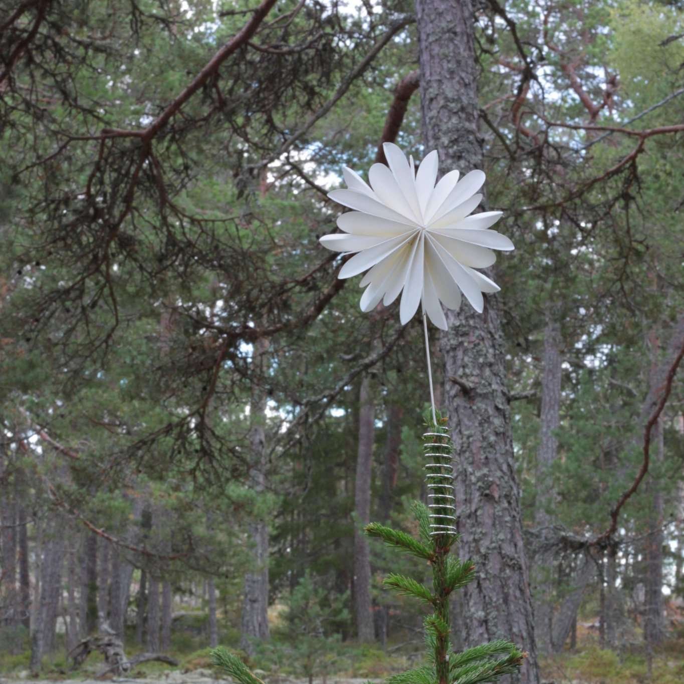Weihnachtsbaumspitze Flower DBKD