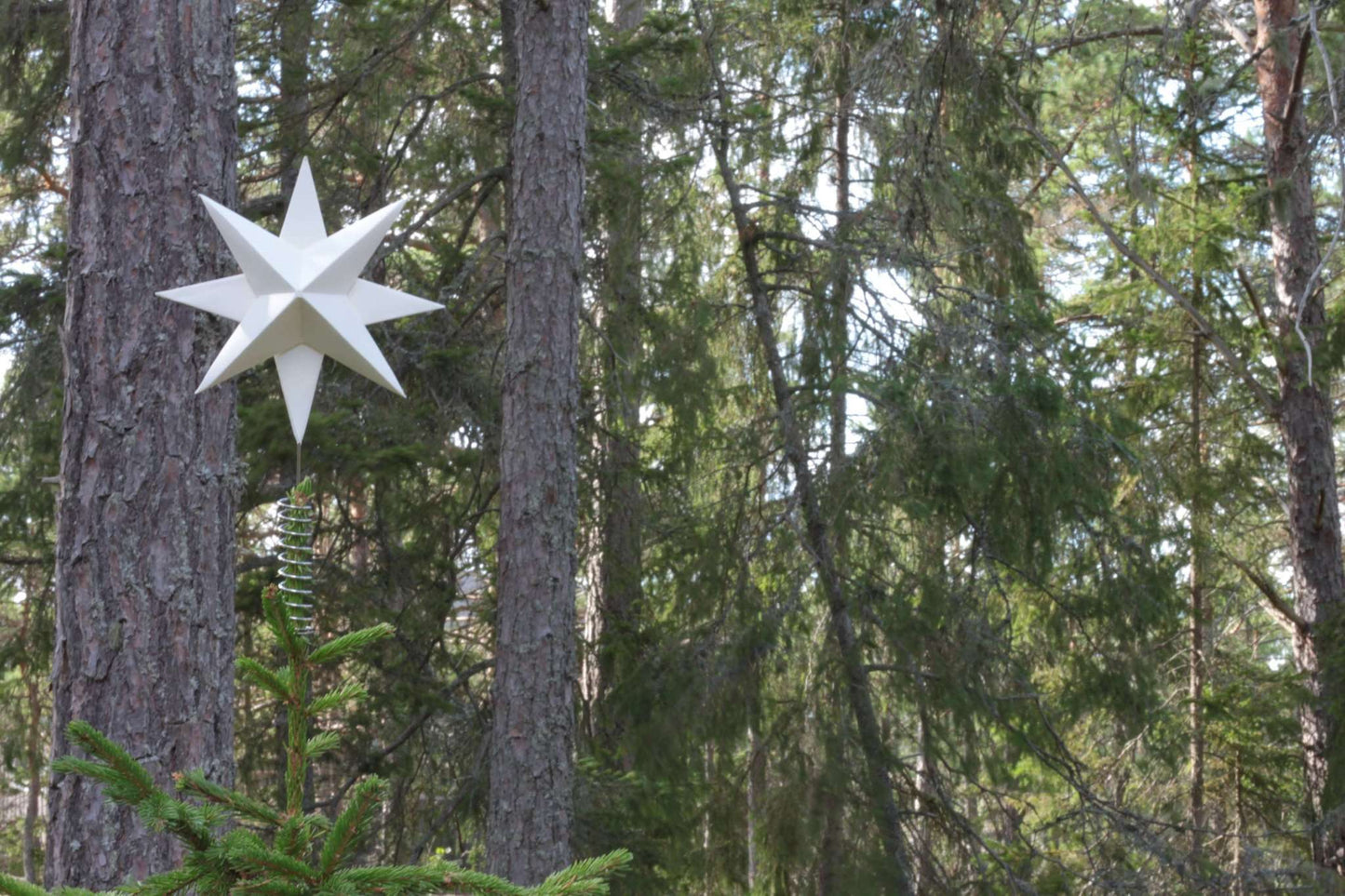 Weihnachtsbaumspitze Star