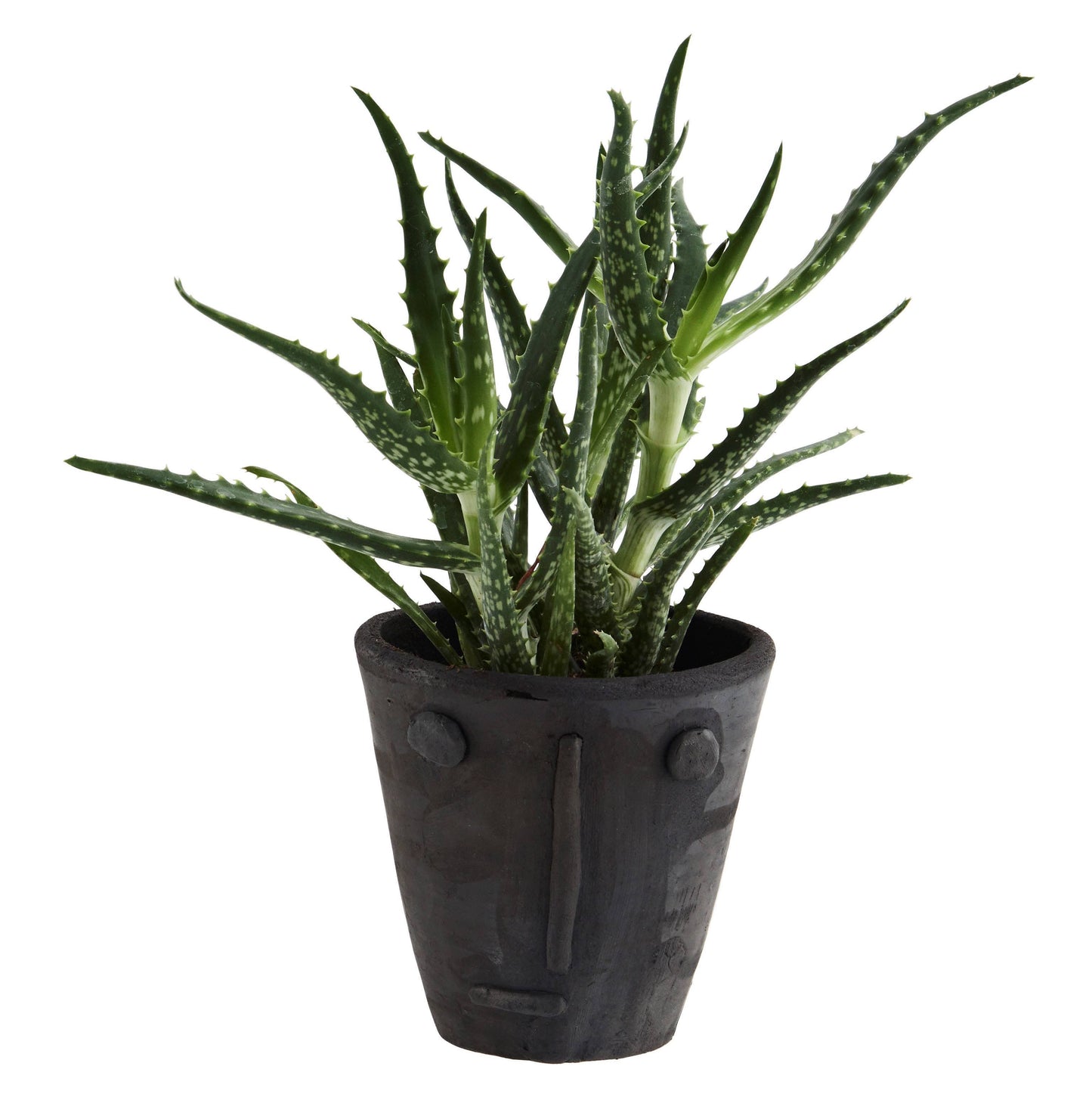 Blumentopf Tontopf Clay mit Gesicht von monochrome-home Buxtehude