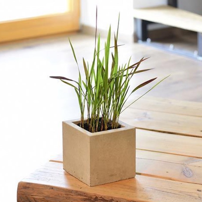 Beske Blumentopf aus Beton