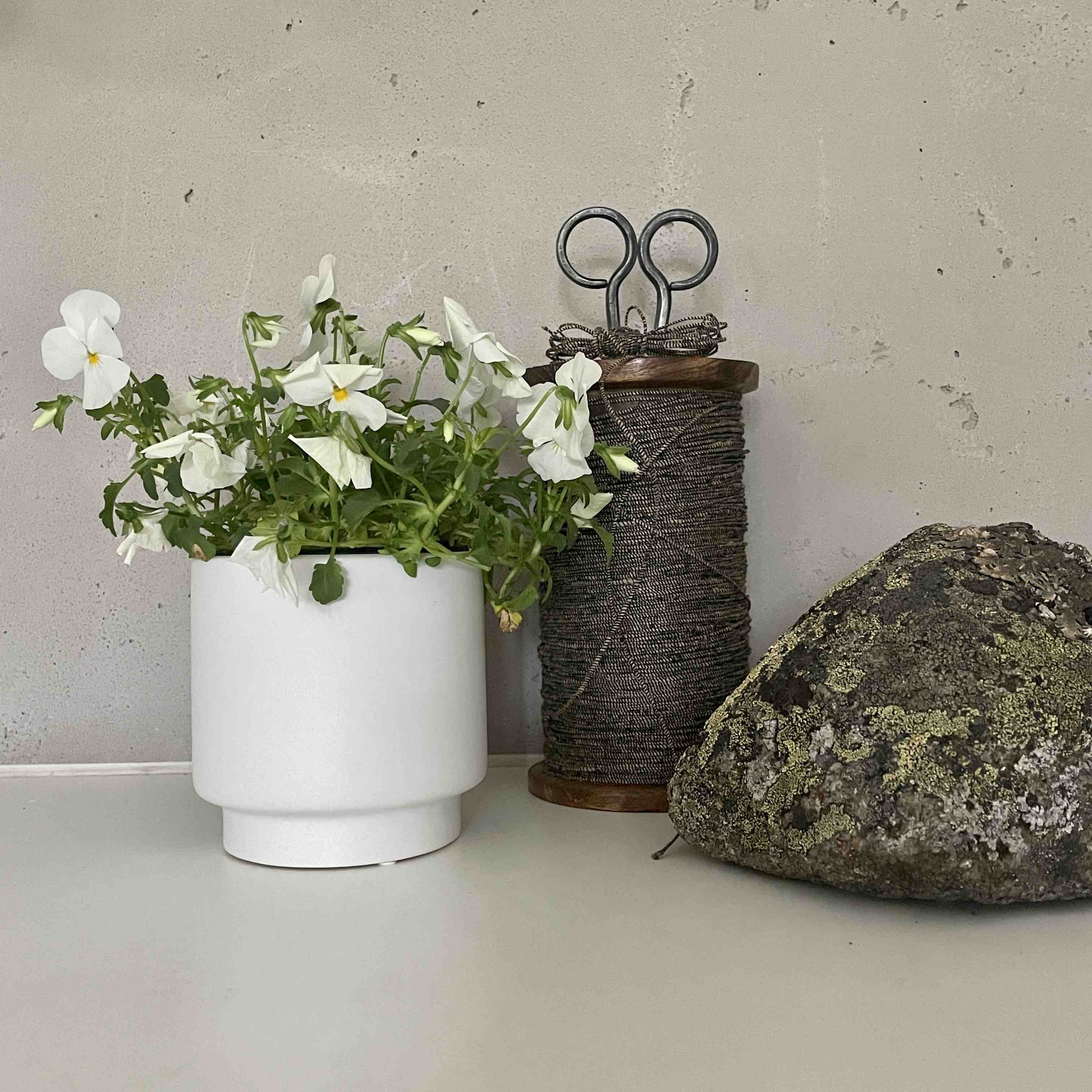 Blumentopf Solid