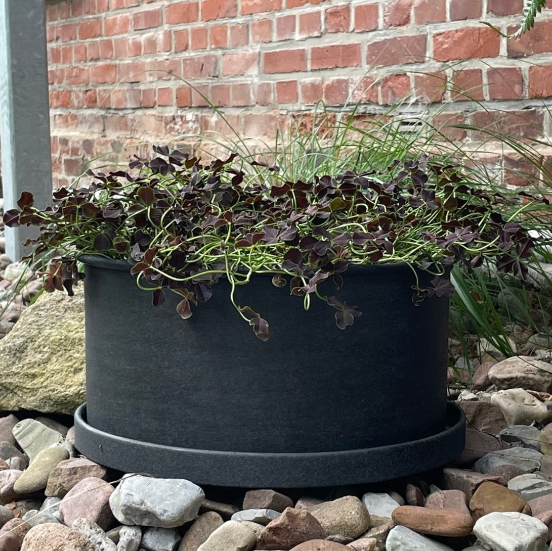 DBKD Blumentopf aus Metall