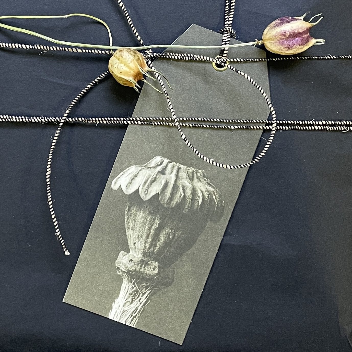 Geschenkanhänger Blossfeldt, Papaver Orientale Türkischer Mohn, monochrome-home Buxtehude