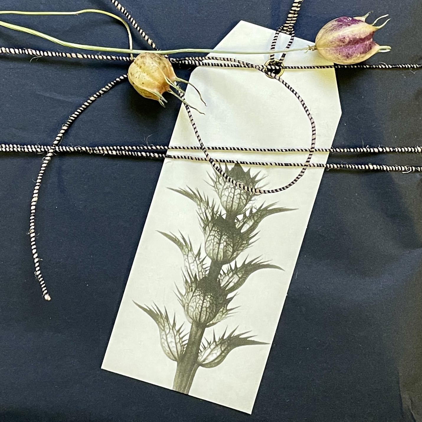 Geschenkanhänger - "Wahrer Bärenklau"