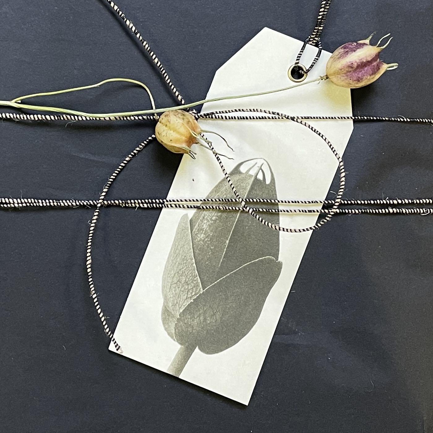 Blossfeldt Geschenanhänger, monochrome-home Buxtehude