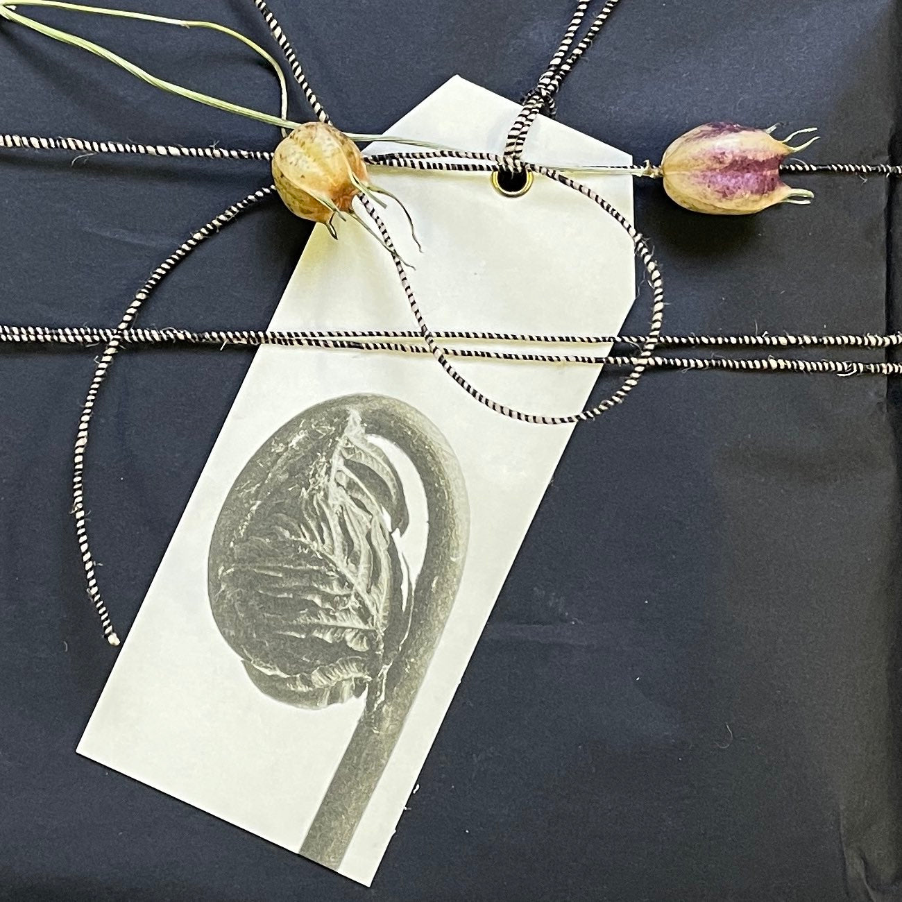 Blossfeldt Geschenkanhänger, monochrome-home Buxtehude