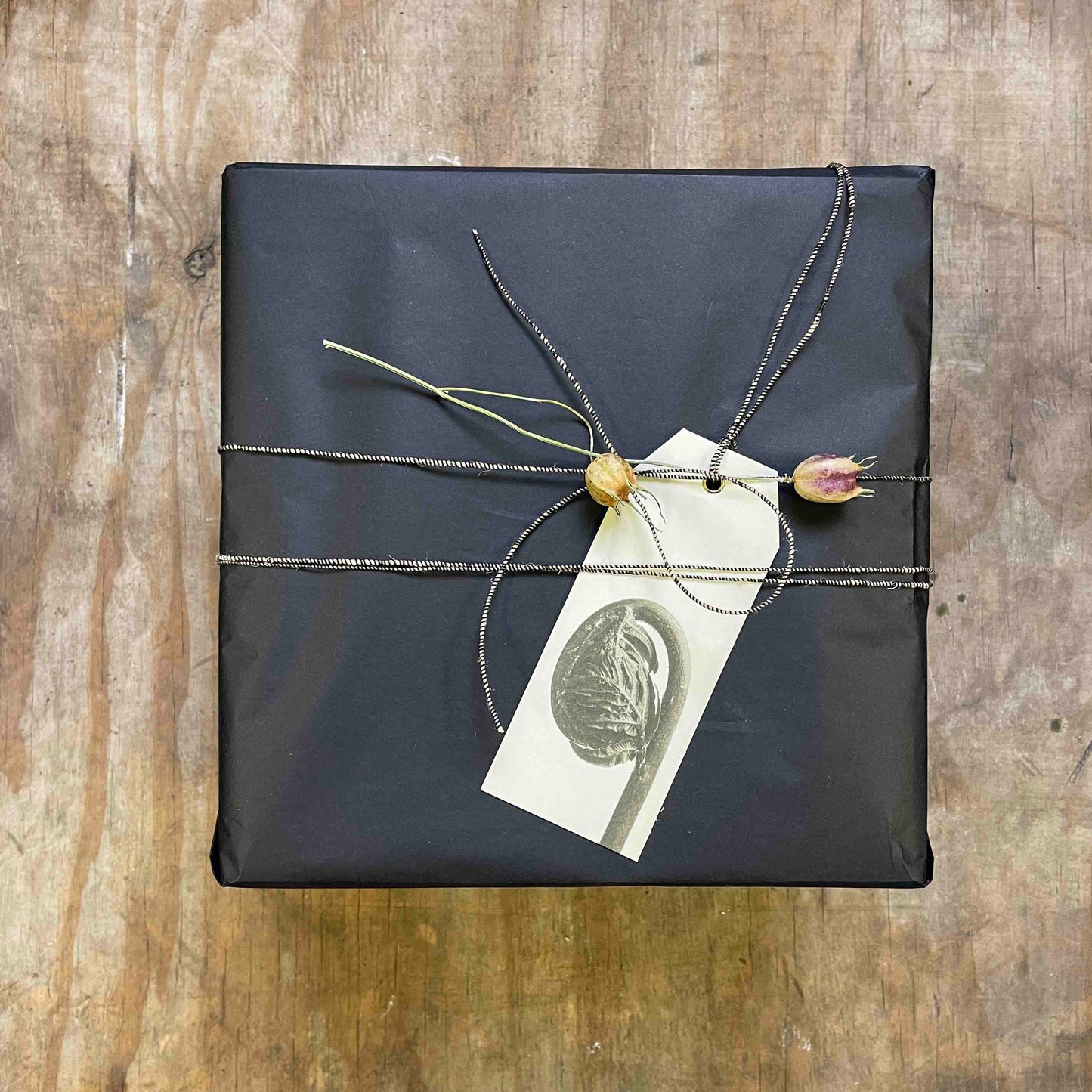 Blossfeldt Geschenkanhänger, monochrome-home Buxtehude