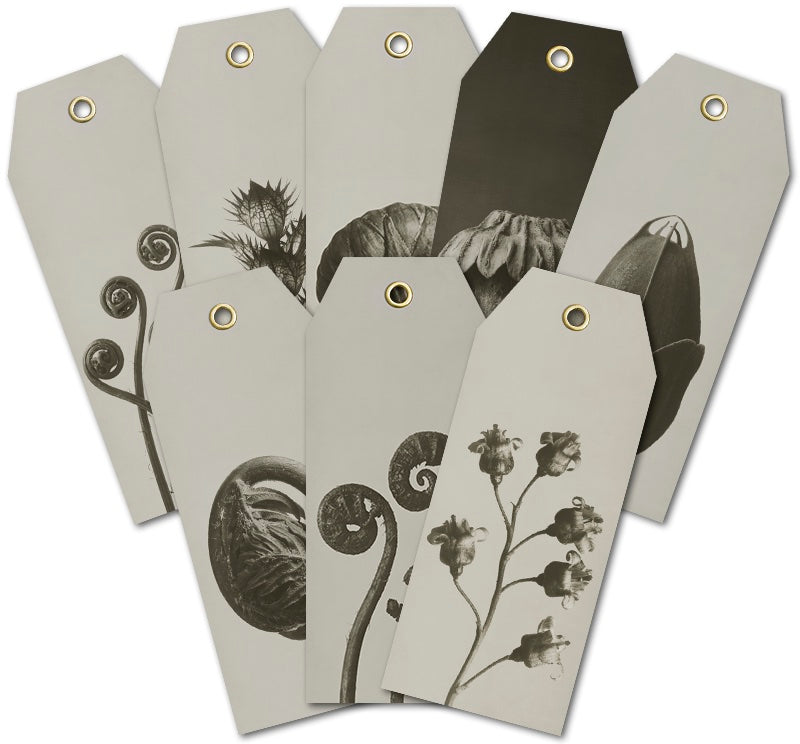 Blossfeldt Geschenkanhänger, monochrome-home Buxtehude