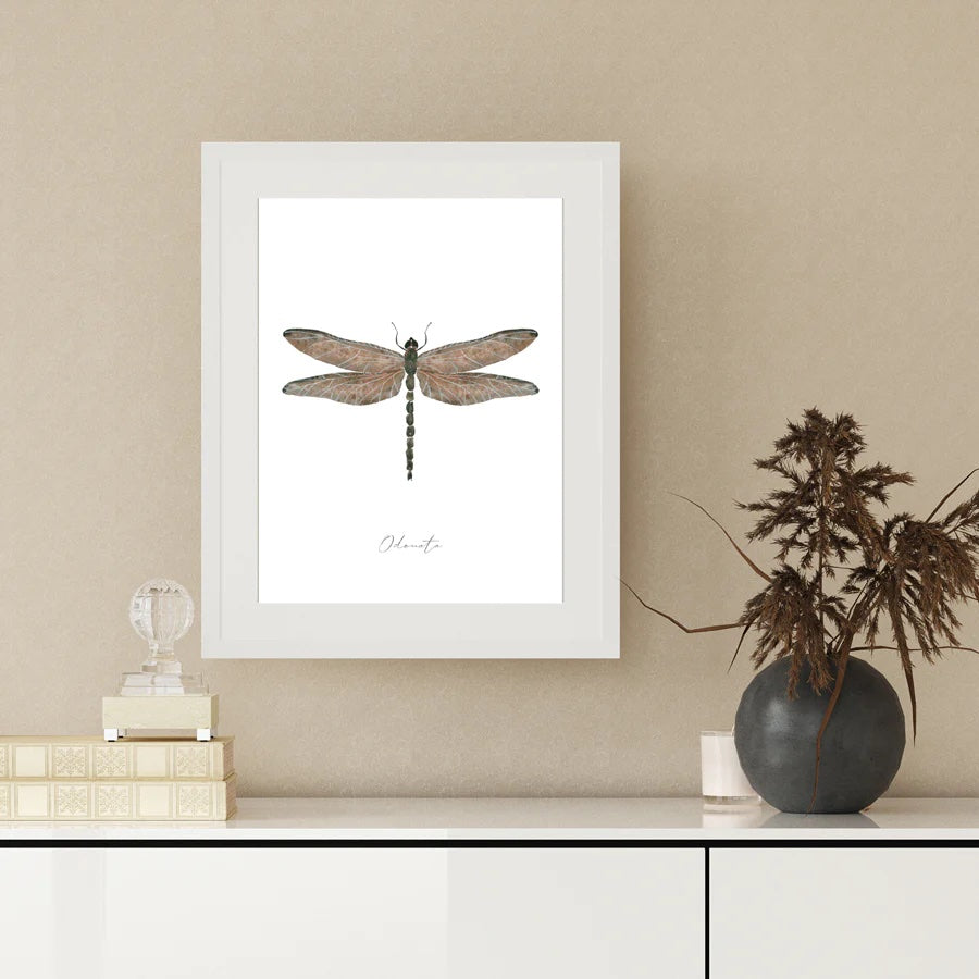 Poster Kaverini Schmetterling, monochrome-home Buxtehude