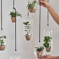 DBKD Hanging Glass Blumenampel Glas, monochrome-home Buxtehude