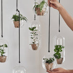 DBKD Hanging Glass Blumenampel Glas, monochrome-home Buxtehude