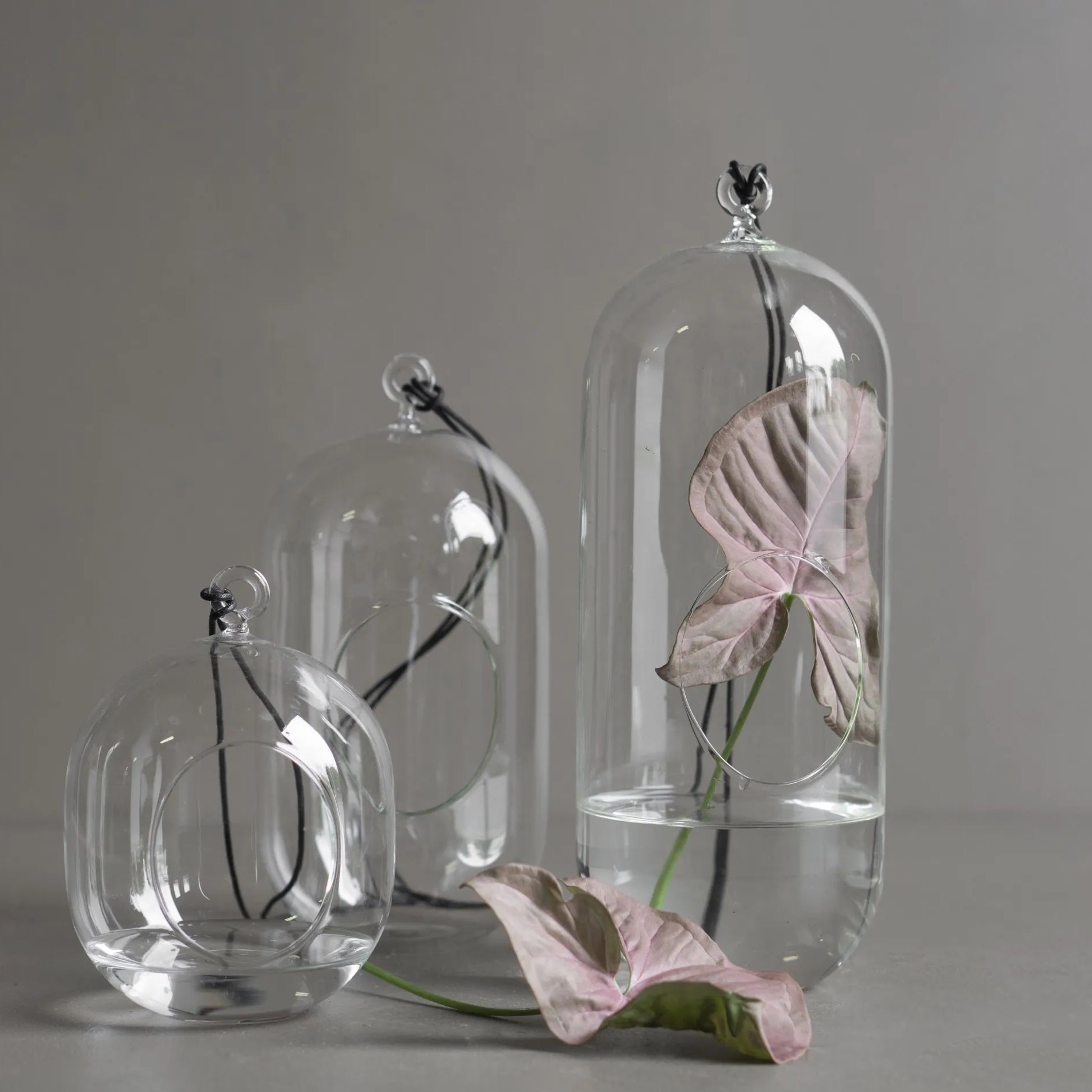 DBKD Hanging Glass Blumenampel Glas, monochrome-home Buxtehude