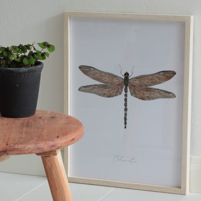 Bilderrahmen Vista in 2 Farben