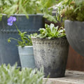 Blumentopf schwarz Patina_monochromehome