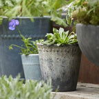 Blumentopf schwarz Patina_monochromehome
