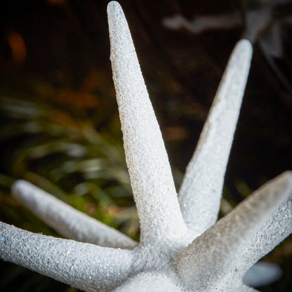 Glasstern SPIKE in weiß mit Funkeln