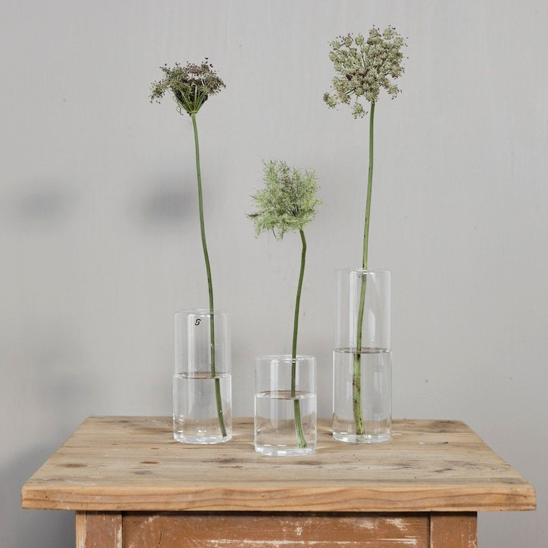 kleine klare minimalistische Glasvase