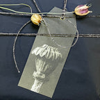 Geschenkanhänger Blossfeldt, Papaver Orientale Türkischer Mohn, monochrome-home Buxtehude