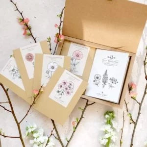 Wild Bouquets "Soft Apricot Collection"