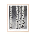 Poster Birken von Kaverini, monochrome-home Buxtehude