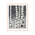 Poster Birken von Kaverini, monochrome-home Buxtehude
